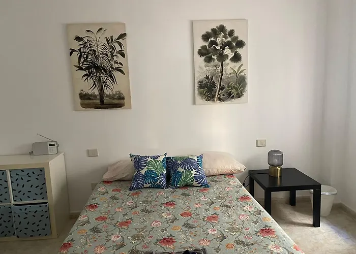 Oasis